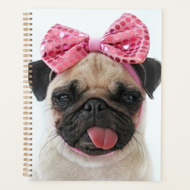 Carlin avec Bow rose (Devant)