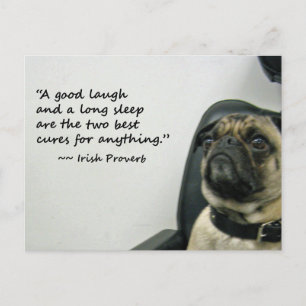 Carlin avec carte postale proverbe irlandais
