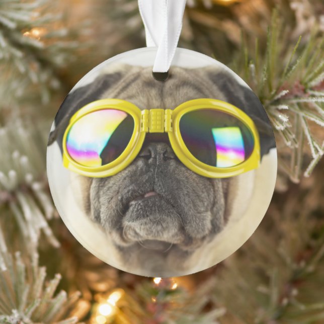 Carlin avec lunettes (Arbre)