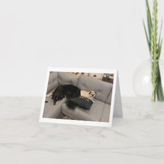 Carlin carte d'anniversaire drôle