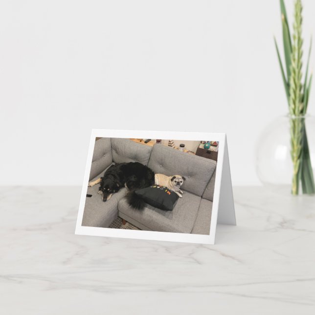 Carlin carte d'anniversaire drôle (Devant)