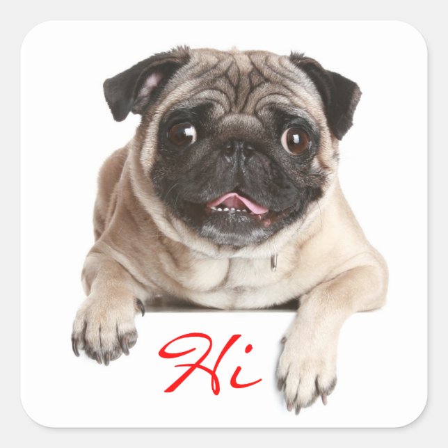 Carlin Chien Chien Chien Bonjour Stickers de voeux (Devant)