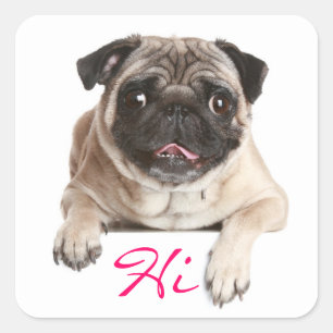 Carlin Chien Chien Chien Bonjour Stickers de voeux
