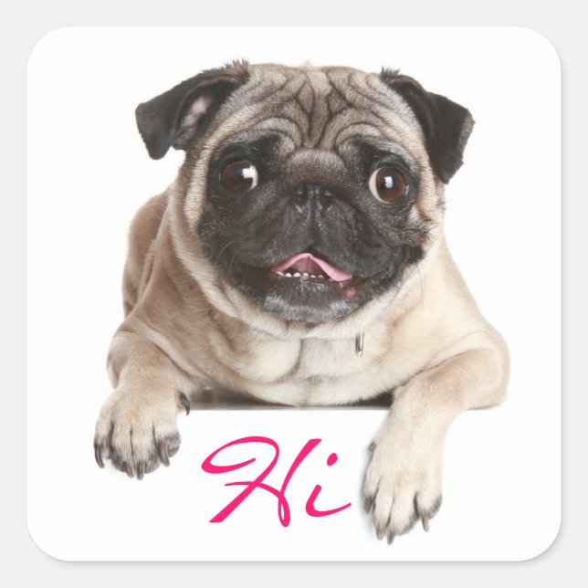 Carlin Chien Chien Chien Bonjour Stickers de voeux (Devant)