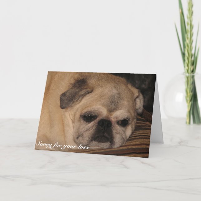 Carlin de carte de sympathie d'animal familier (Devant)
