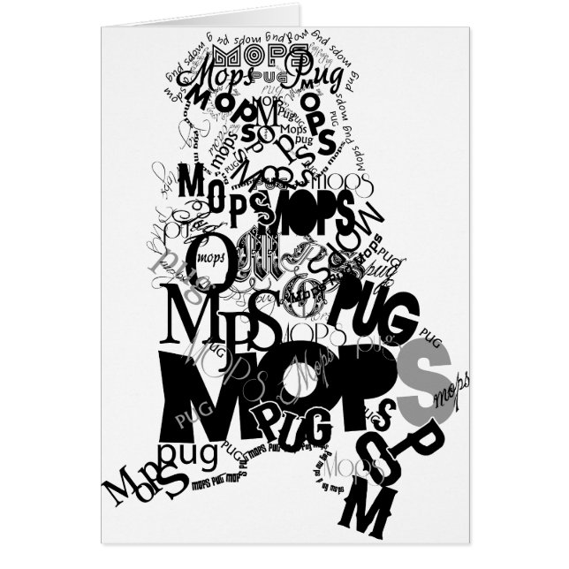 Carlin des types (Devant)