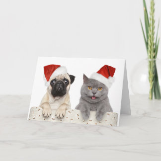 Carlin et chat - Carte de Noël