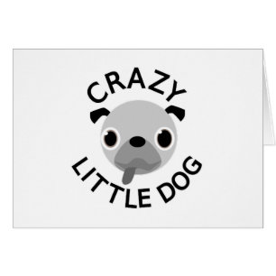 Carlin fou petit chien