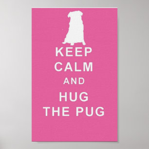 CARLIN GARDER CALME HUG LE CARLIN ART POSTER ANNIV