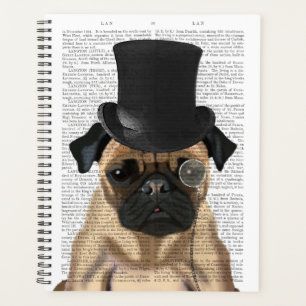 Carlin, Hound officiel et Casquette