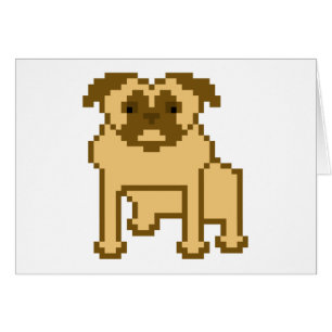 Carlin Pixel