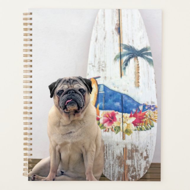 Carlin surf (Devant)