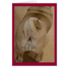 Carlin Tail Valentine Card