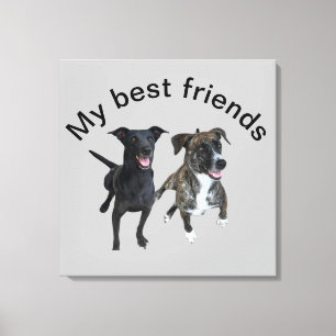 Carlos dogs Canvas Print