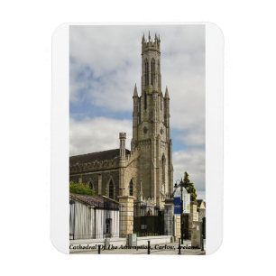 Carlow Cathedral Of The Assumption, Ireland Magnet