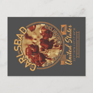 CARLSBAD CALIFORNIA - CARLSBAD FLOWER FIELDS POSTCARD