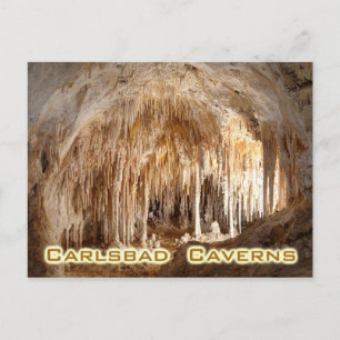 Carlsbad Caverns National Park, New Mexico Postcard
