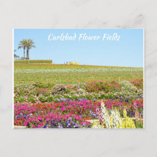 Carlsbad Flower Fiers Carte postale