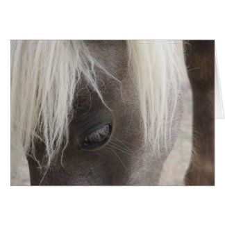 Carly, jolie petite fillette