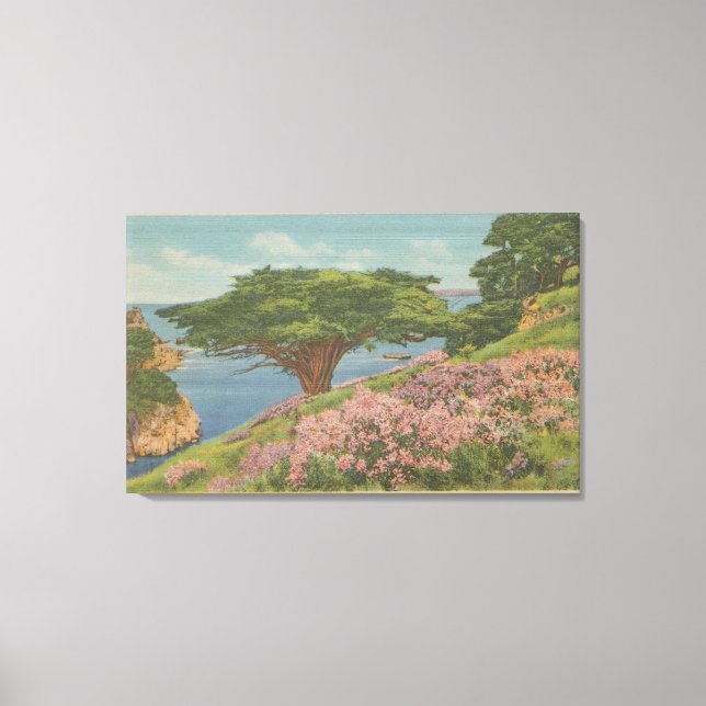 Carmel Bay, CA - View of "Old Veteran" Tree Canvas Print (Front)