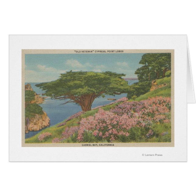 Carmel Bay, CA - Vue de l'arbre "ancien vétéran" (Devant horizontal)