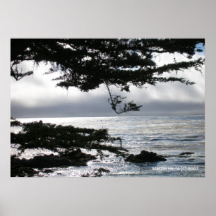 Carmel in Silver Poster