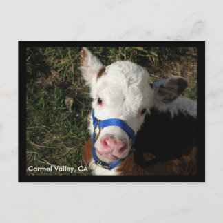 Carmel Valley, CA Postcard