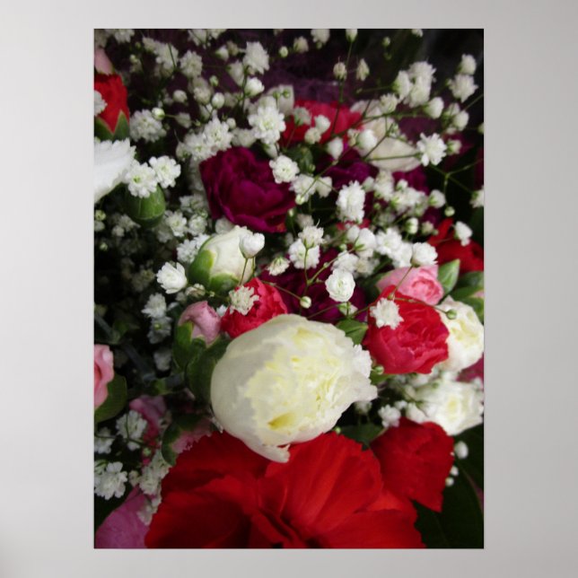 Carnation and Baby Breaths Flower Bouquet Poster (Front)
