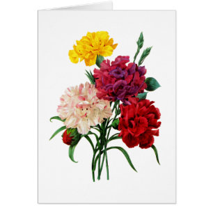 Carnation and Marigold Bouquet by Redoute