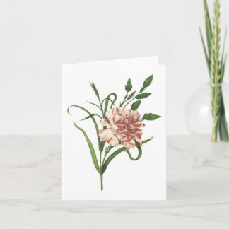 Carnation Card