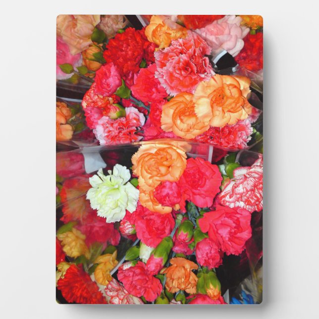 Carnation Flower Mix Photo Plaque (Front)