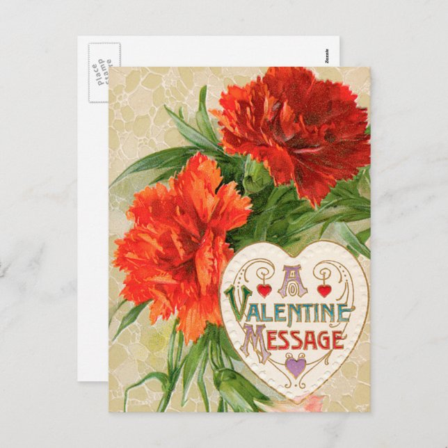 Carnation Flowers, Vintage Valentine's Day Message Holiday Postcard (Front/Back)
