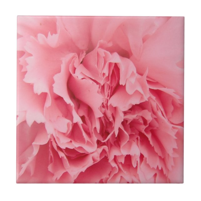 Carnation rose Carreau (Devant)
