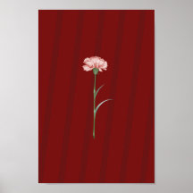 Carnation rose en rouge - Poster esthétique romant