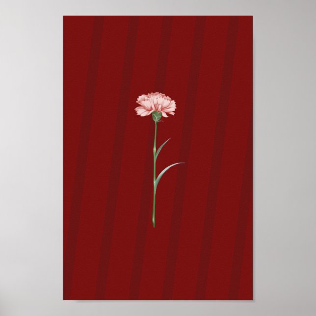 Carnation rose en rouge - Poster esthétique romant (Devant)
