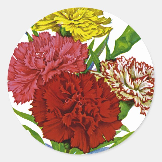 Carnation Vintage Seed Packet Classic Round Sticker (Front)