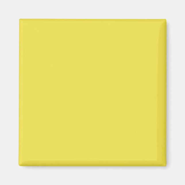 Carnation Yellow F2E349 Colour Add Your Name Optio Magnet (Front)