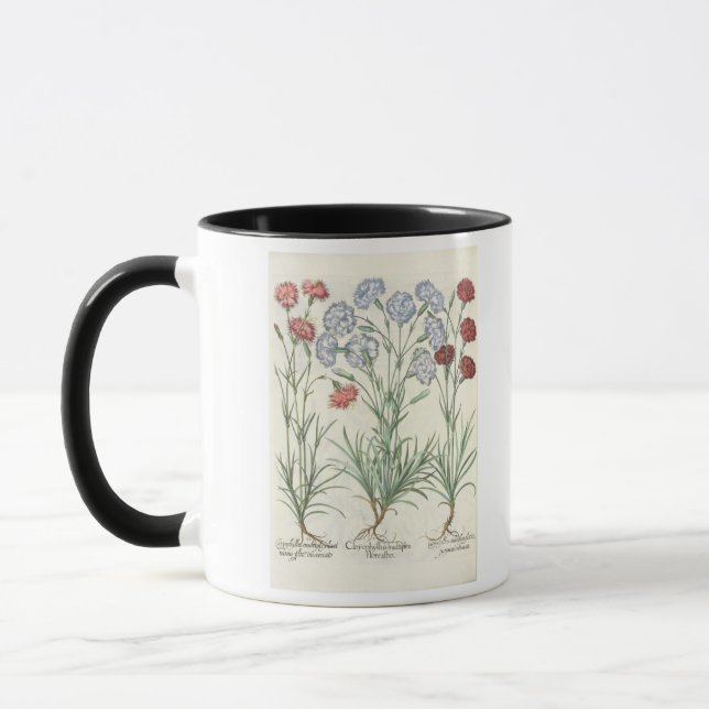 Carnations: 1.Caryophyllus multiplex flore albo; 2 Mug (Left)