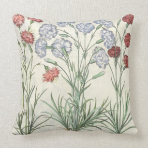 Carnations: 1.Caryophyllus multiplex flore albo; 2 Throw Pillow