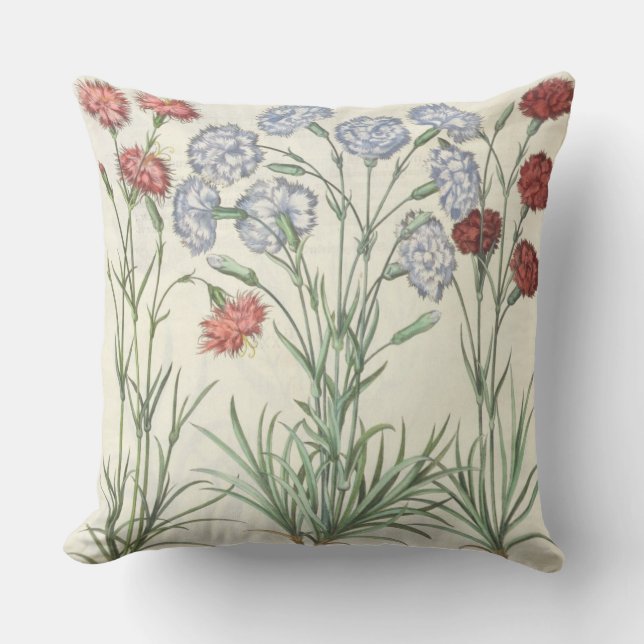Carnations: 1.Caryophyllus multiplex flore albo; 2 Throw Pillow (Front)