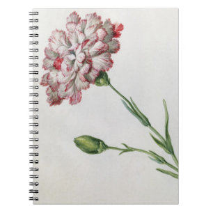 Carnations (w/c on paper) notebook