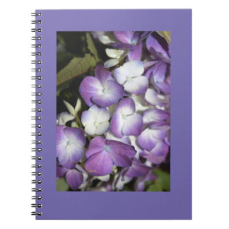 Carnet