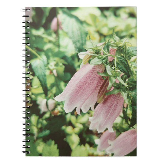 CARNET ホタルブクロ　フォトノートブック (Devant)