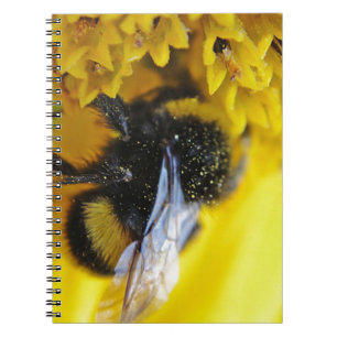 CARNET 101.JPG
