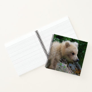 Carnet 128's Little Cub - Ordinateur portable