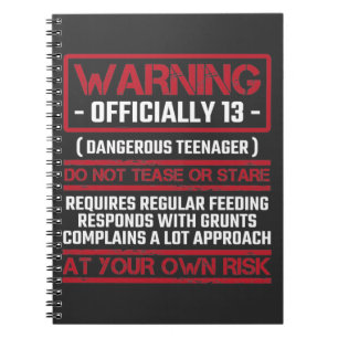 Carnet 13e anniversaire officiellement adolescent 13 ans 