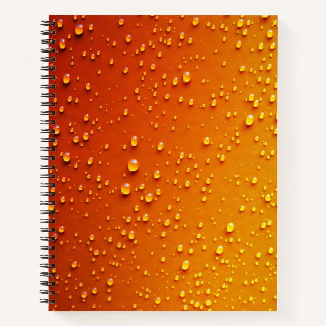 Carnet 21,6 cm x 28 cm (Devant)