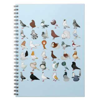 Carnet 36 races de pigeon