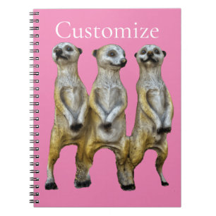 Carnet 3 Meerkats debats Thunder_Cove
