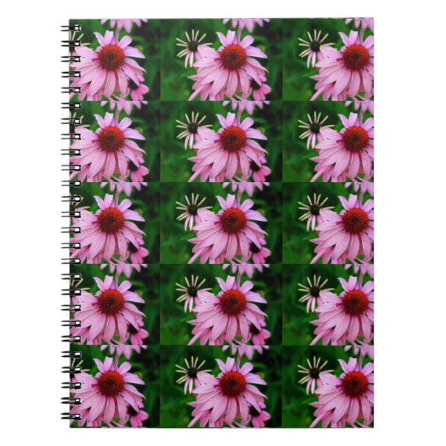 carnet à fleurs echinacea (Devant)